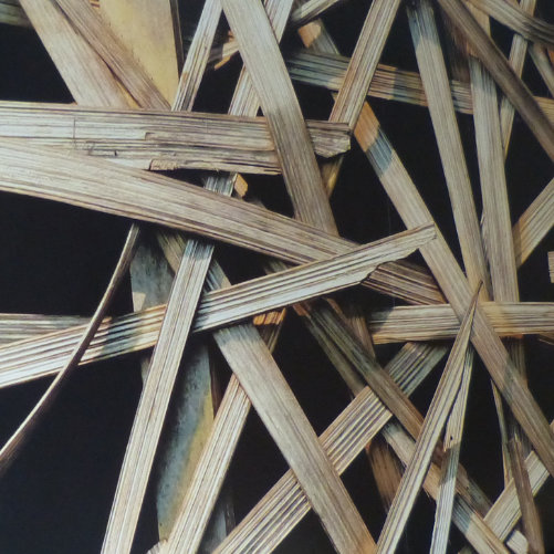 Edoki Sushibar Innenarchitekur Shopdesign Paderborn helle freude