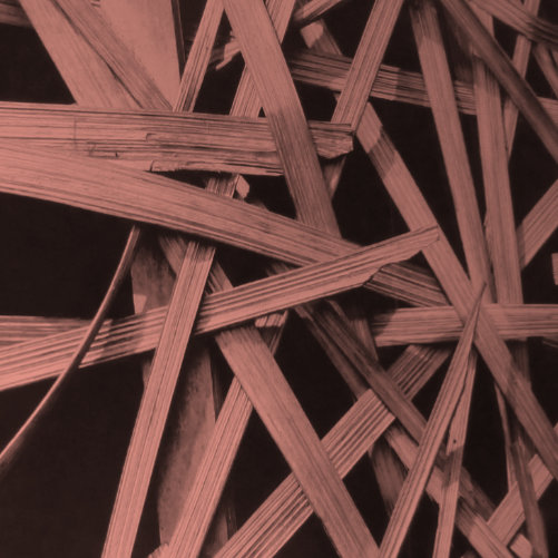 Projekt Edoki Sushibar