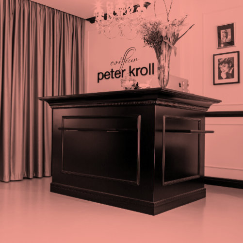 Projekt Friseur Peter Kroll